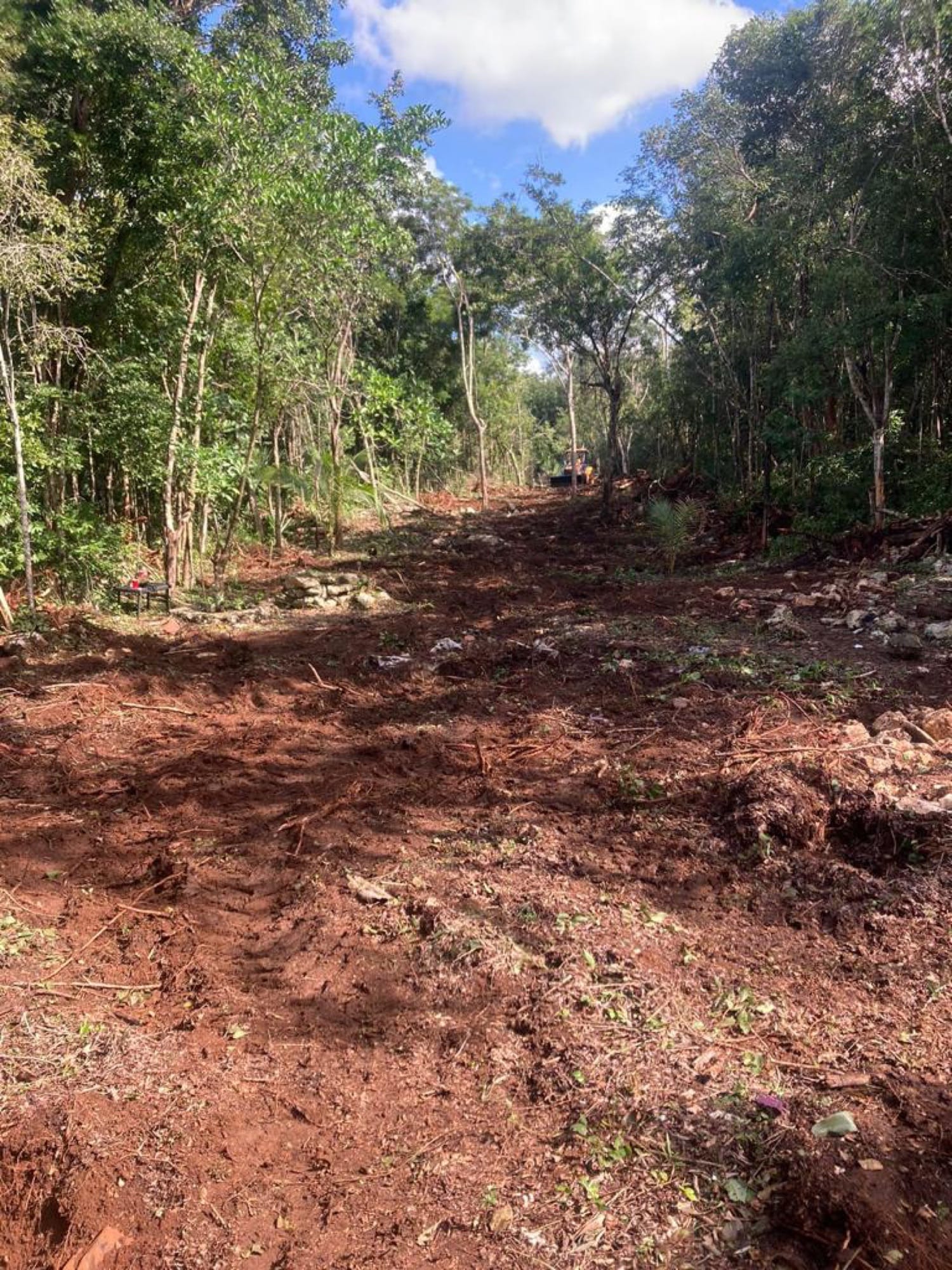 The first circuit, cut through the selva