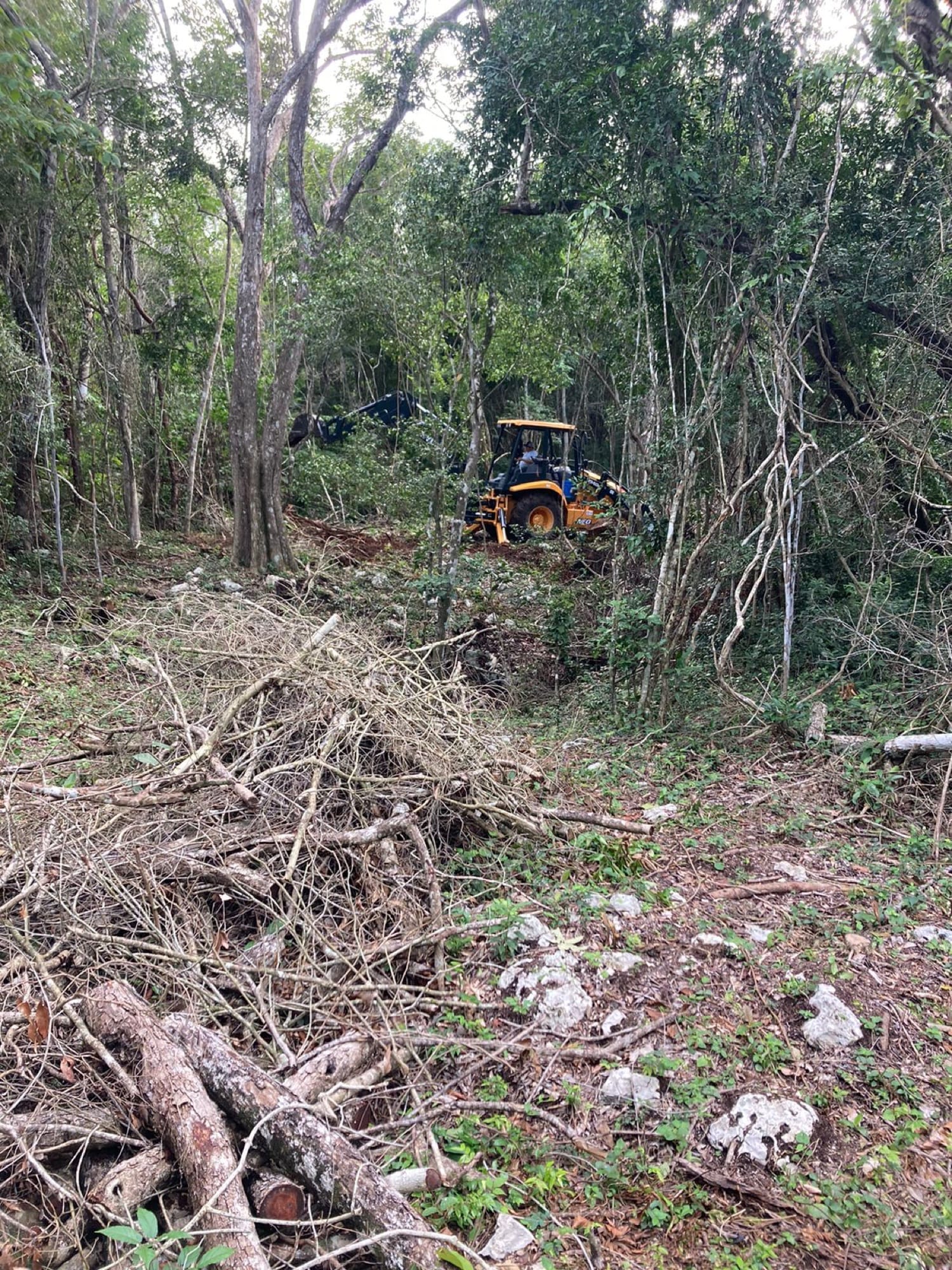 Clearing for the central lagoon